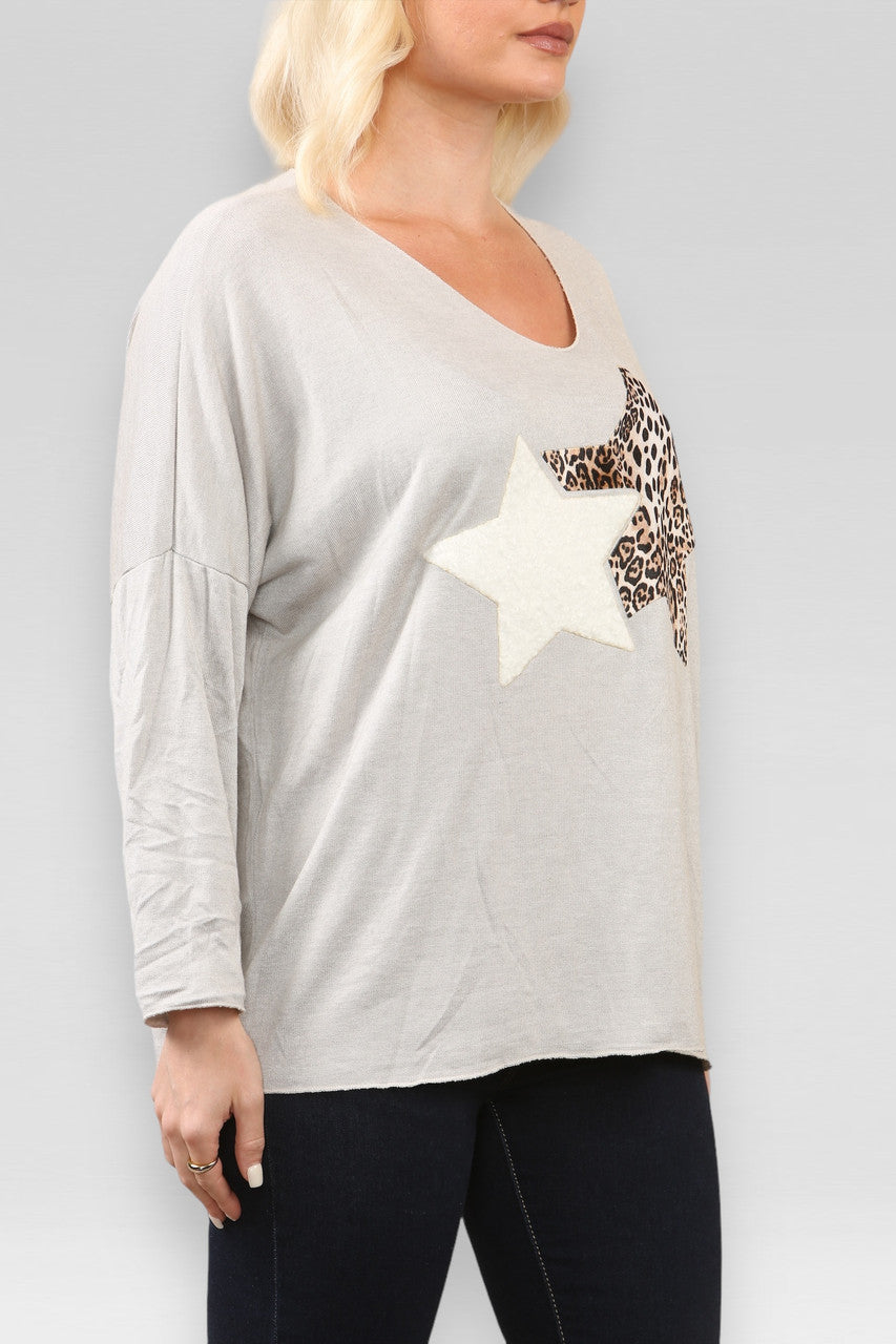 GESTRUCTUREERDE TRUI MET LEOPARDPRINT EN STER STEENKLEURIG