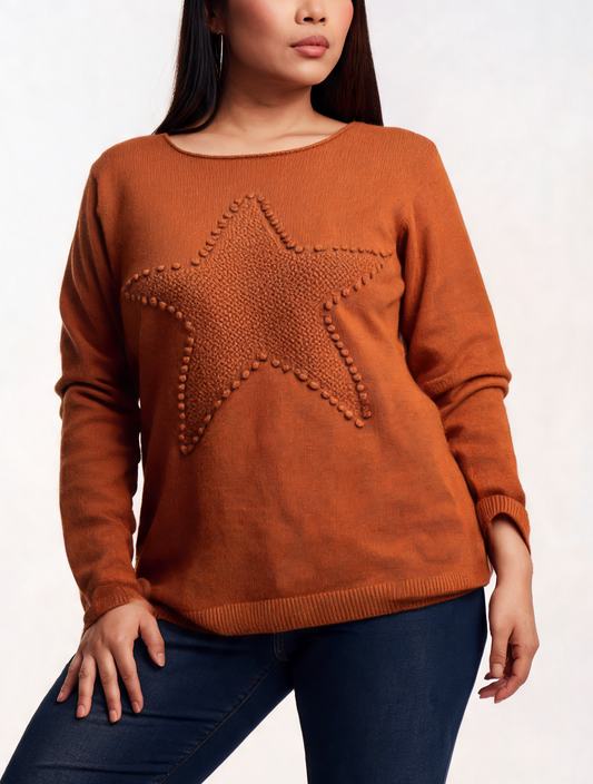 Knitted Textured Star Motif Knit Jumper
